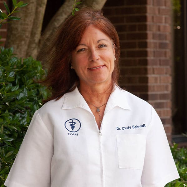 Dr. Cindy Schmidt, Jackson Veterinarian
